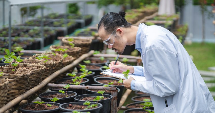 Een onderzoeker analyseert de groei van planten in een kas
