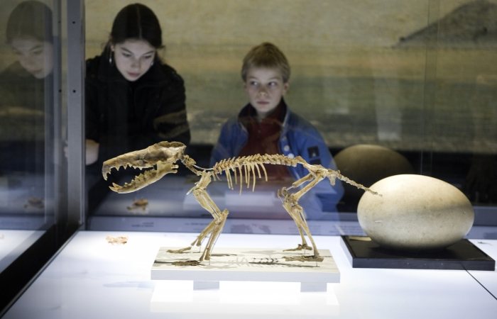 Naturalis, bezoekers bekijken een vondst van Darwin