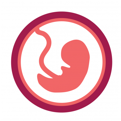 Illustratie embryo