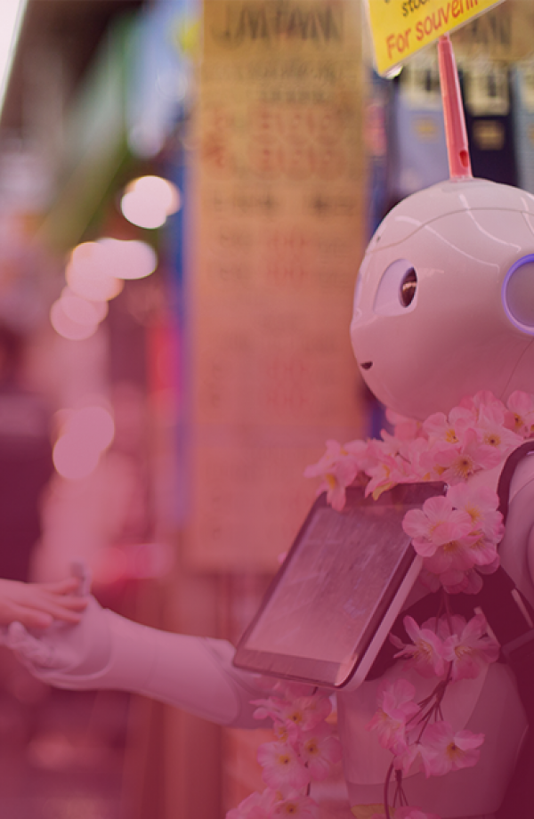 Intelligente machines in praktijk - meisje met robot
