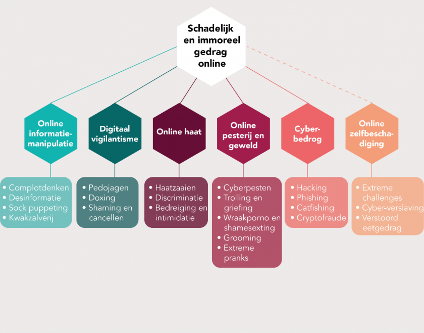 Taxonomie van schadelijk en immoreel gedrag online