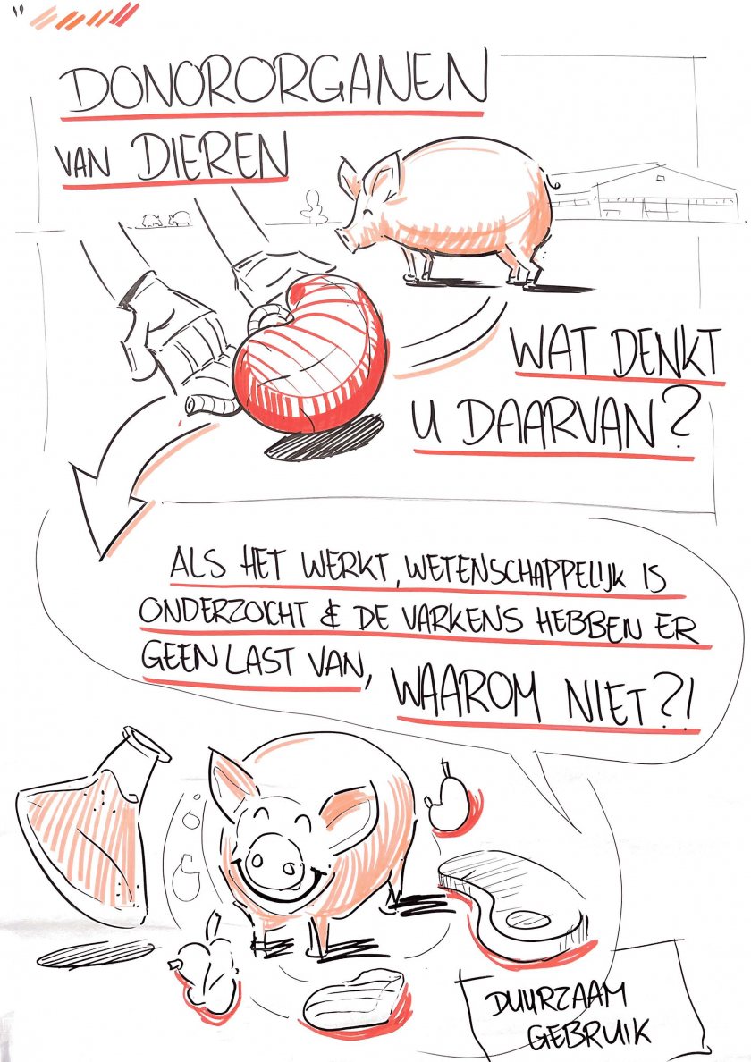 Illustratie over de donordierdialoog