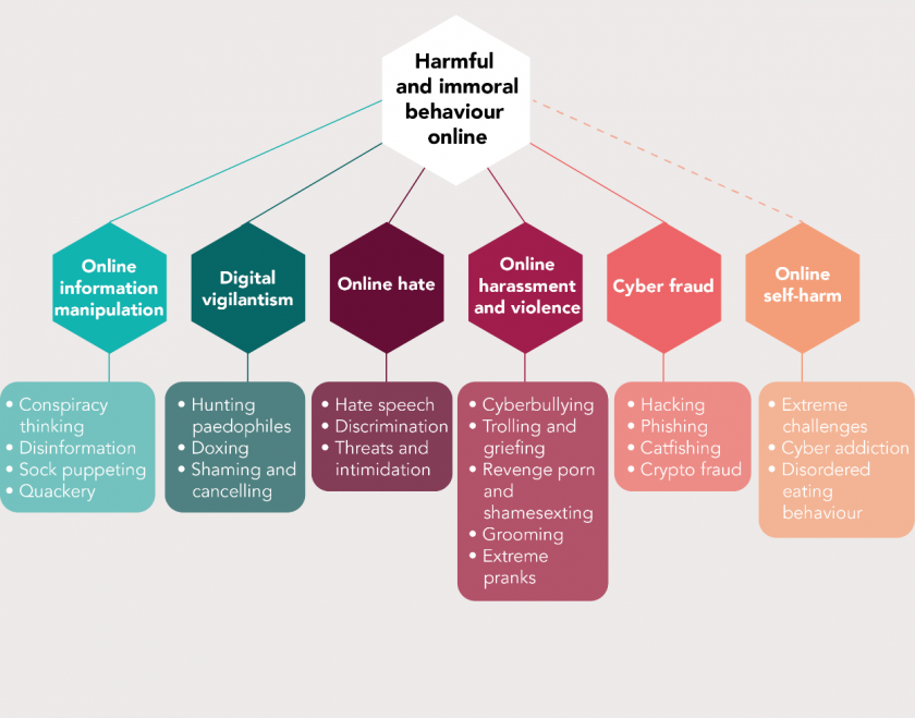Taxonomy of harmful and immoral behaviour online