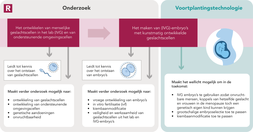 Overzicht van onderzoek en mogelijke implicaties IVG