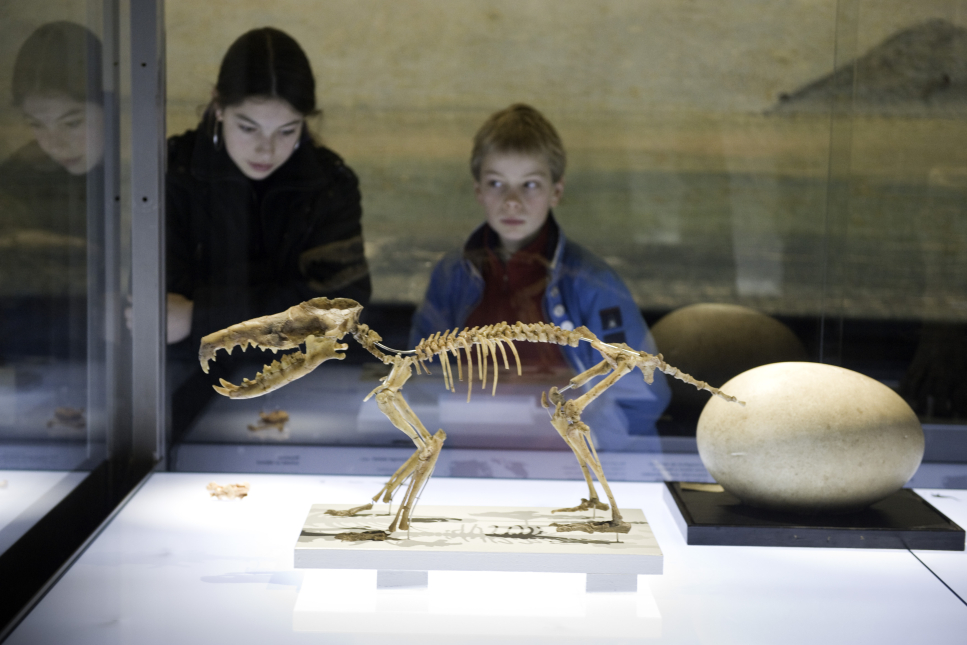 Naturalis, bezoekers bekijken een vondst van Darwin