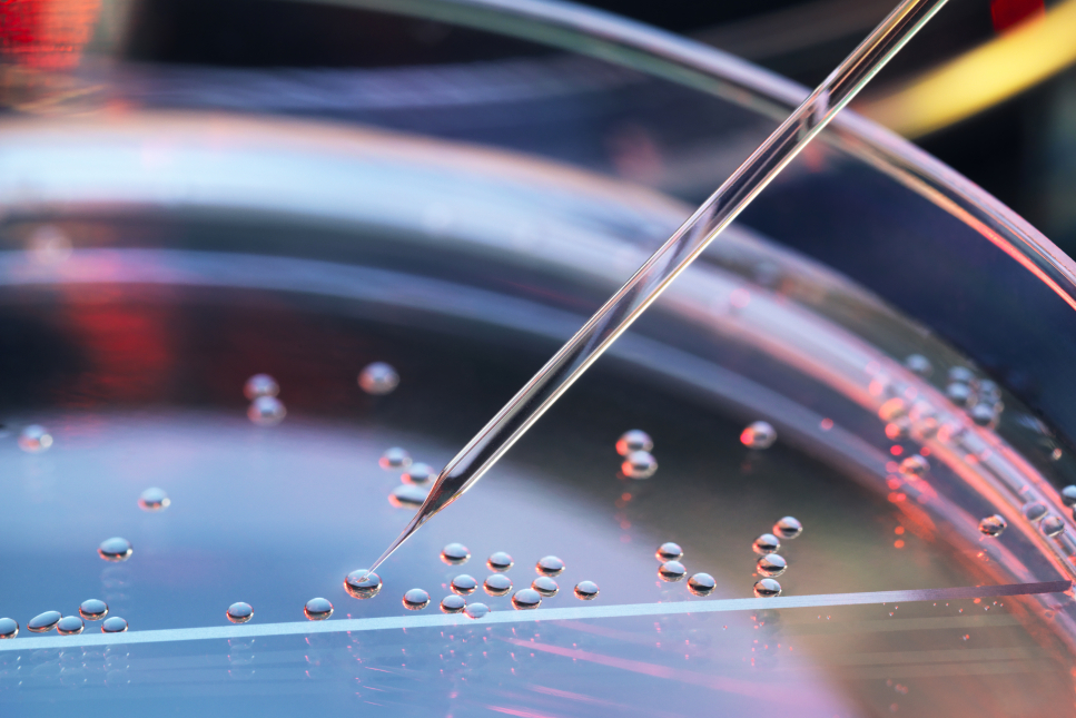 Embryo onderzoek