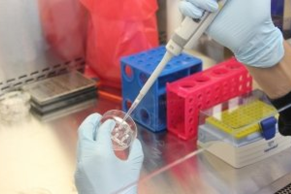 lab_pipet