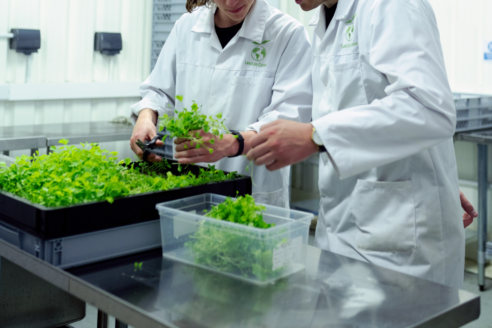 onderzoekers zijn bezig met planten