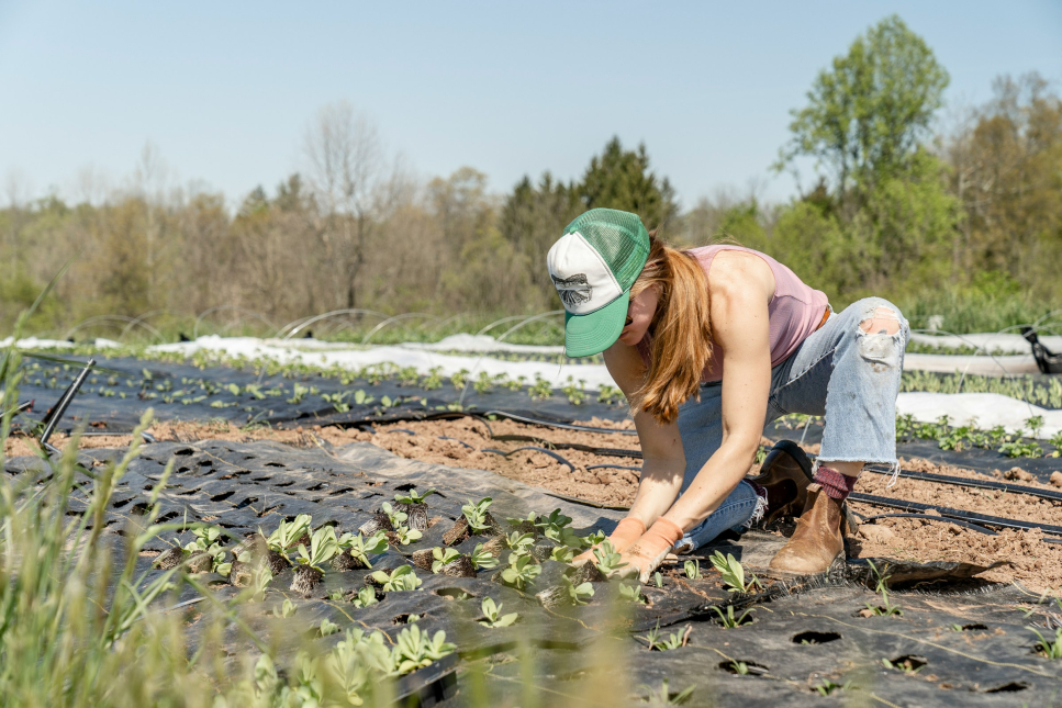 Een persoon plant voorjaarszaailingen in de grond bij een duurzame boerderij