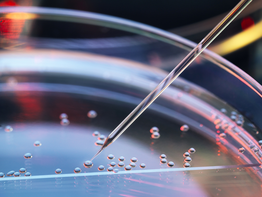 dna aanpassen embryo