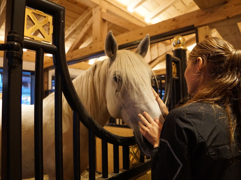 Paard stal fokkerij