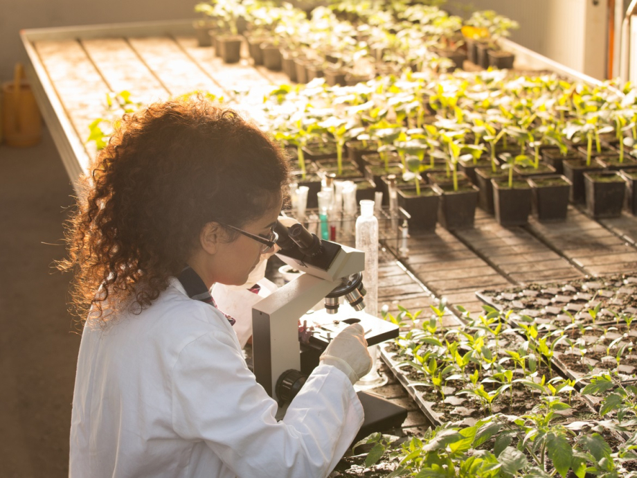 Bio tech lab