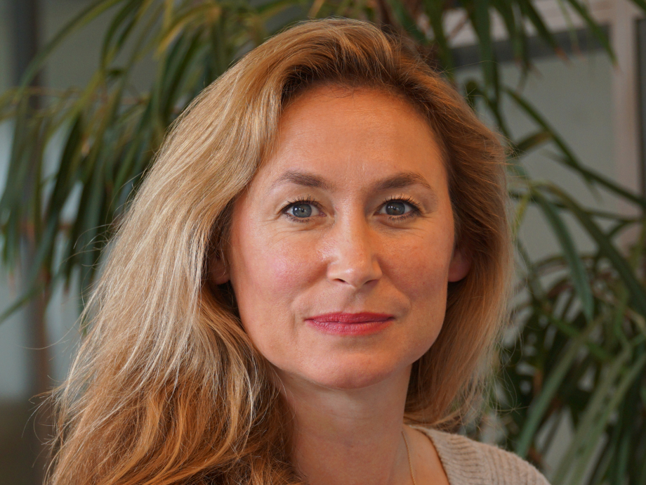 Mariette van Huijstee