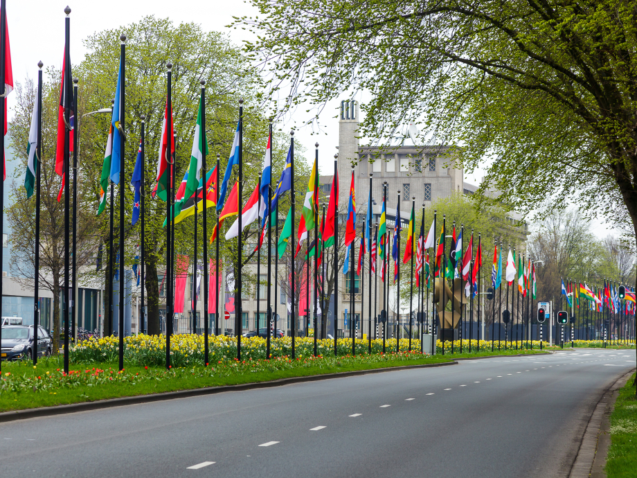 De vlaggenparade bij het World Forum in Den Haag