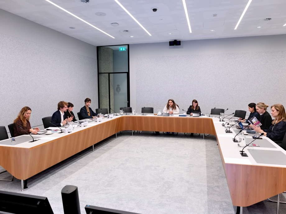 Onderzoekers van het Rathenau Instituut in de Tweede Kamer 