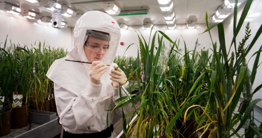 Genome editing bij planten en gewassen