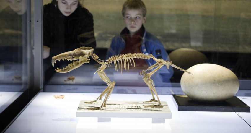 Naturalis, bezoekers bekijken een vondst van Darwin