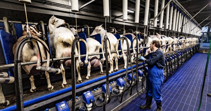 Technologie in veehouderij