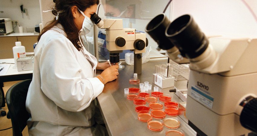 Embryo's maken lab