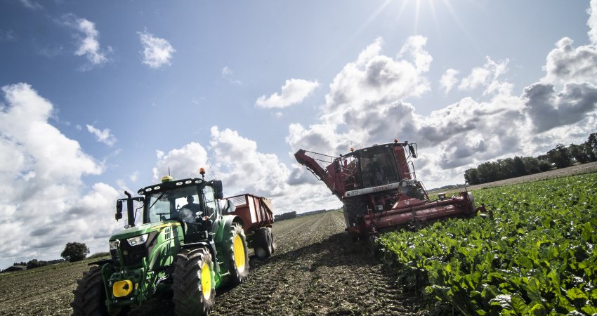 Een Groningse boer is bezig met de suikerbietenoogst