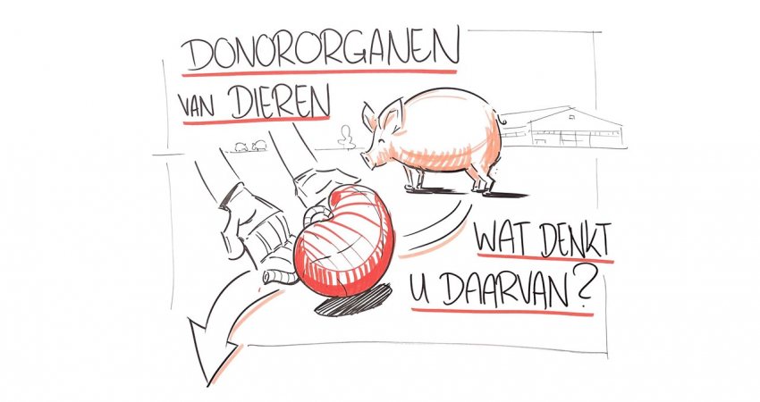 Illustratie: donordieren, wat denkt u daarvan?