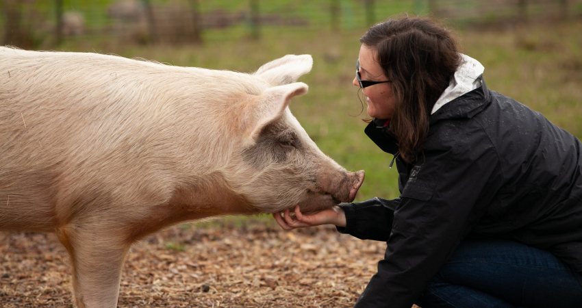 Een vrouw met een varken