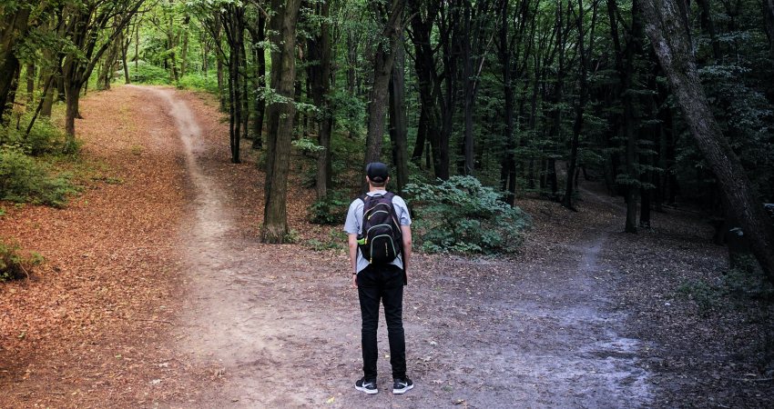 Een man staat in het bos en moet kiezen of hij links of rechts het bospad volgt