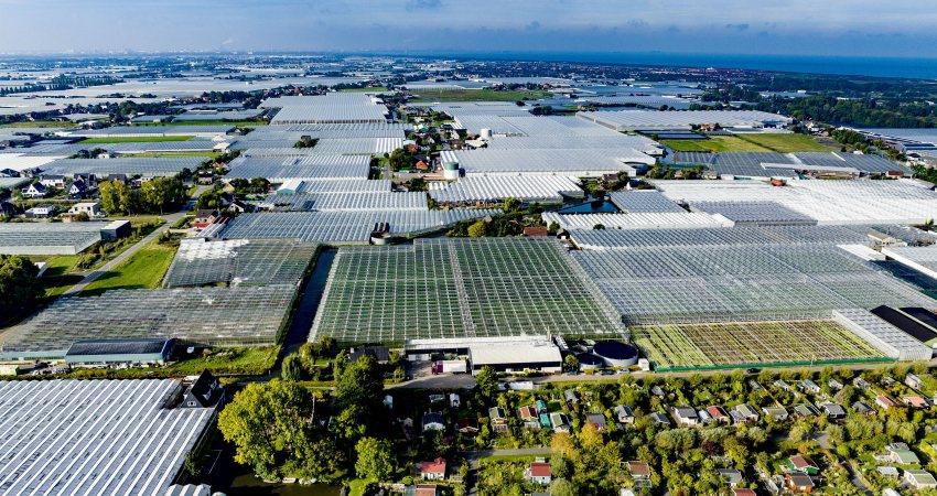 Dronefoto van kassen in Poeldijk