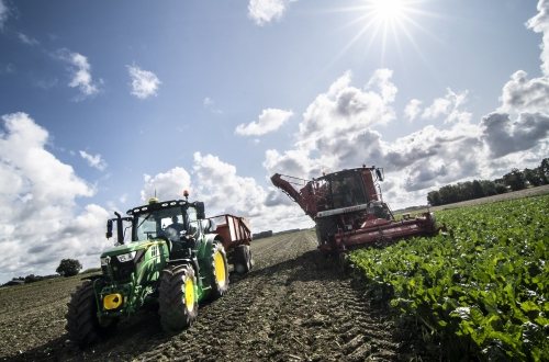 Een Groningse boer is bezig met de suikerbietenoogst