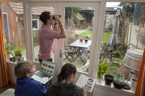 Drie jongeren tellen vanuit hun kamer de vogels in de tuin voor de Nationale Tuinvogeltelling.