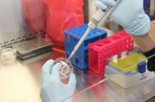 lab_pipet