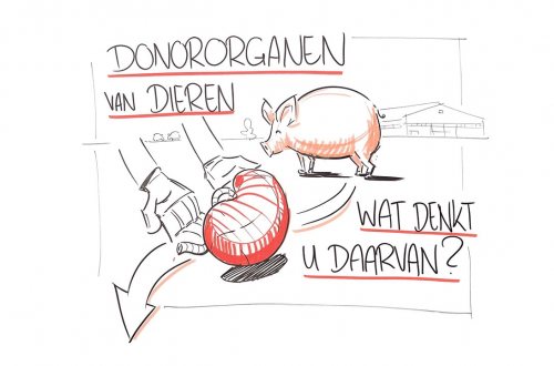 Illustratie: donordieren, wat denkt u daarvan?