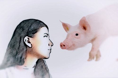 Illustratie van een vrouw met een varken