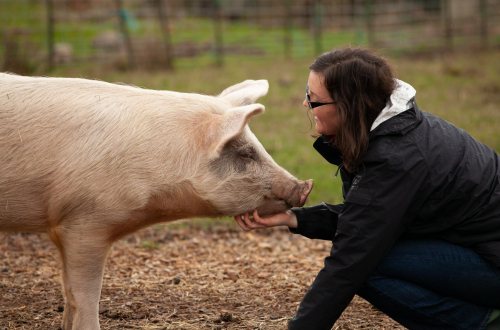 Een vrouw met een varken