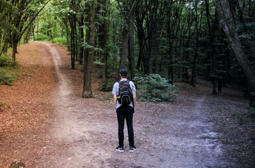 Een man staat in het bos en moet kiezen of hij links of rechts het bospad volgt