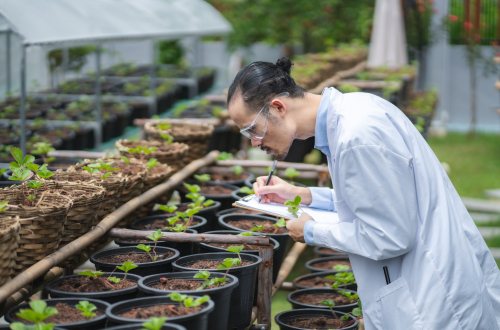 Een onderzoeker analyseert de groei van planten in een kas