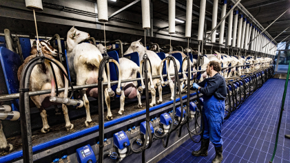 Technologie in veehouderij