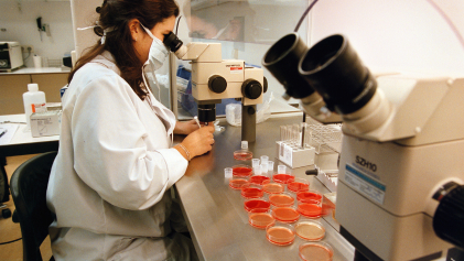 Embryo's maken lab