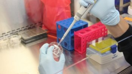 lab_pipet