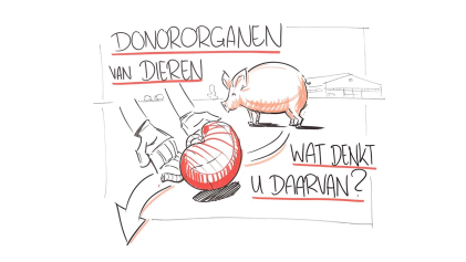 Illustratie: donordieren, wat denkt u daarvan?