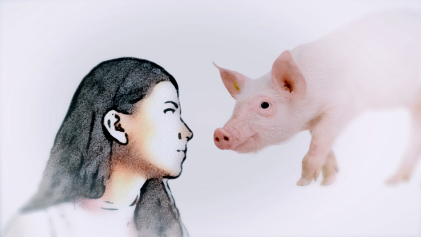 Illustratie van een vrouw met een varken