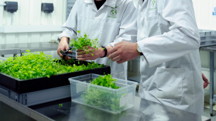 onderzoekers zijn bezig met planten