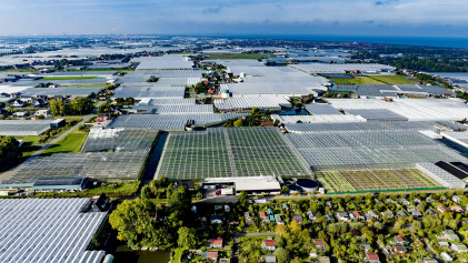Dronefoto van kassen in Poeldijk
