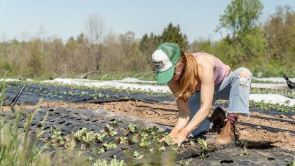 Een persoon plant voorjaarszaailingen in de grond bij een duurzame boerderij