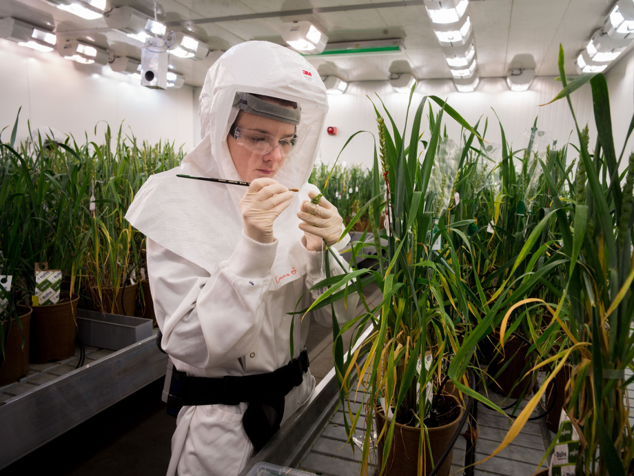 Genome editing bij planten en gewassen