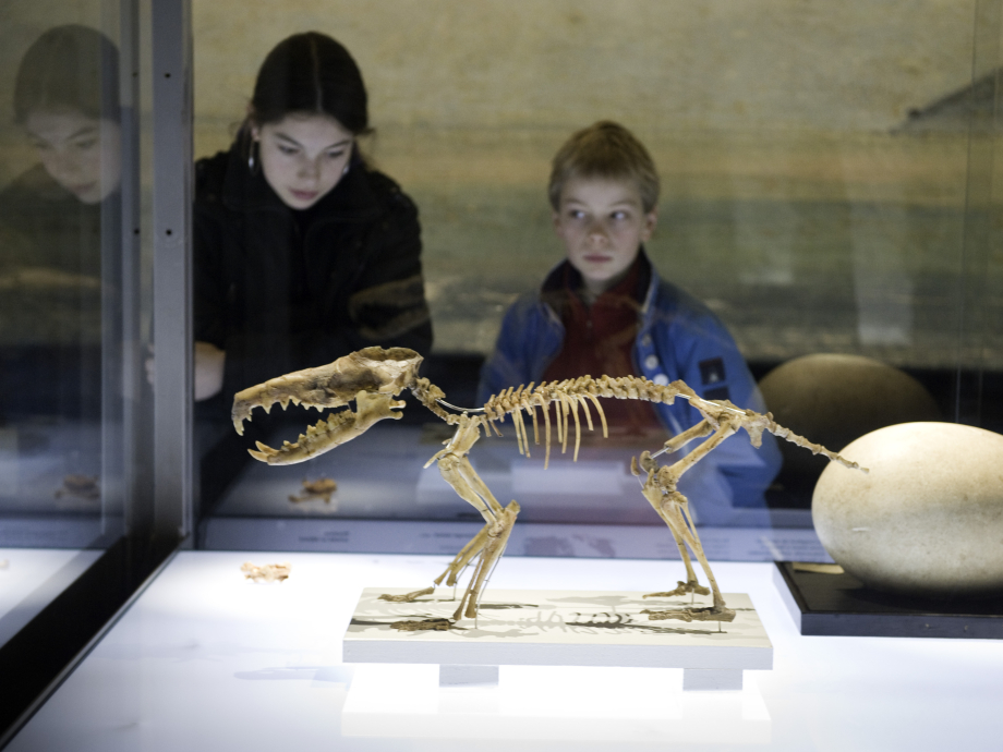 Naturalis, bezoekers bekijken een vondst van Darwin
