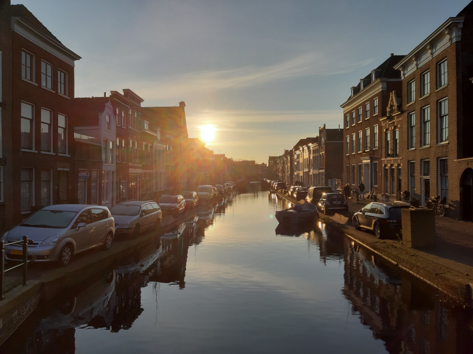 Gouda