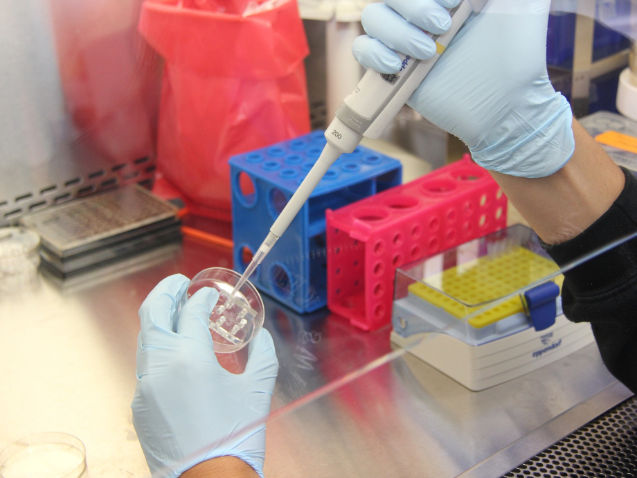 Onderzoek met pipet