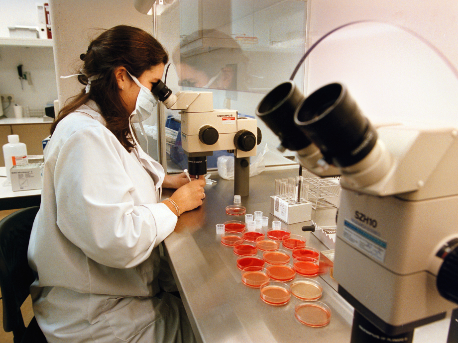 Embryo's maken lab