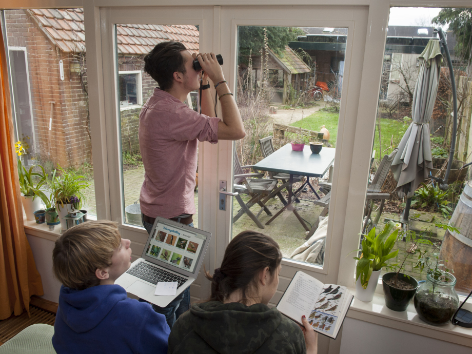 Drie jongeren tellen vanuit hun kamer de vogels in de tuin voor de Nationale Tuinvogeltelling.